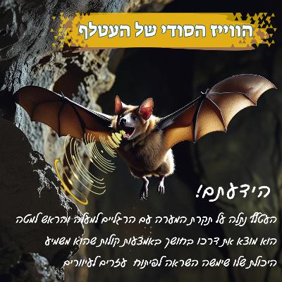 הווייז הסודי של העטלף