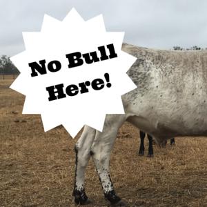 When My Tranny Slipped #Boston2018 When My Tranny Slipped #Boston2018