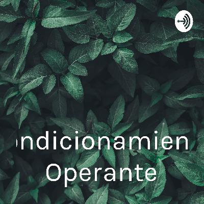 Condicionamiento operante