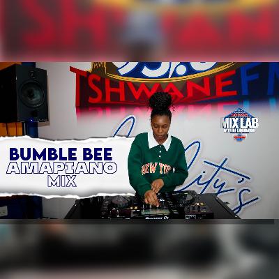 Bumble bee – Amapiano Mix 2025 | Live on MixLab with DJ Liquidator | Tshwane Fm 93.6