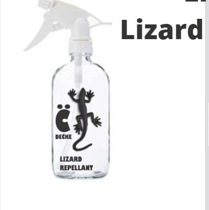 20 Best Lizard Repellent Sprays Get Rid of Lizards  - Decke Global