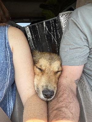 144. Our Cross Country Drive