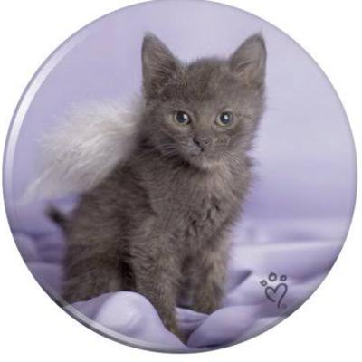 Kitten’s Storytime on Subscription. Just for 99 cents a month!