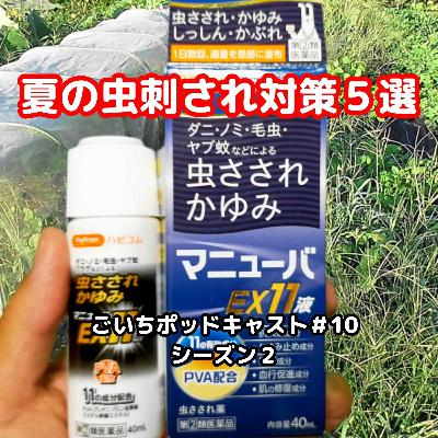 夏の虫刺され対策５選#10｜ごいち 家庭菜園がおもしろい シーズン２｜5 Summer Insect Bites Countermeasures #podcast