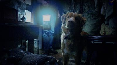 TFR Ep. 782: Good Boy, V/H/S: Halloween TFR Ep. 782: Good Boy, V/H/S: Halloween