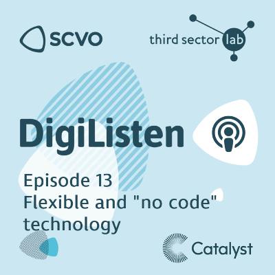Episode 13 - Flexible and No Code Technology