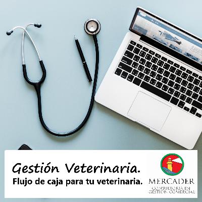 Armando el Cash Flow de tu veterinaria: ¿Ganaste o perdiste dinero el mes pasado?