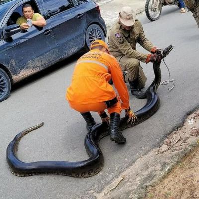 Edição completa 23-02-24 - JORNAL DO MEIO-DIA Edição completa 23-02-24 - JORNAL DO MEIO-DIA