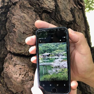 Eu Caminho - 093 - Desconexão e Conexão