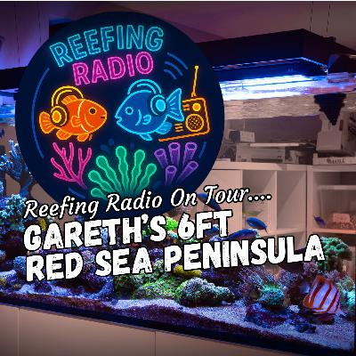 Reefing Radio On Tour – Gareth’s 5ft Red Sea Peninsula