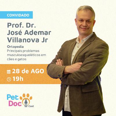 Conheça os Principais Problemas Musculoesqueléticos em Cães e Gatos – Saiba Como Prevenir e Tratar!
