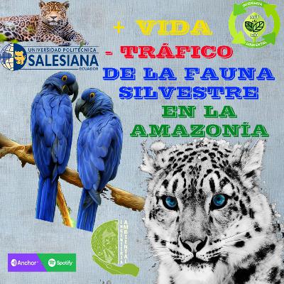 +vida - tráfico de la fauna silvestre en la Amazonía