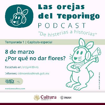 08 de marzo. ¿Por qué no dar flores? 08 de marzo. ¿Por qué no dar flores?