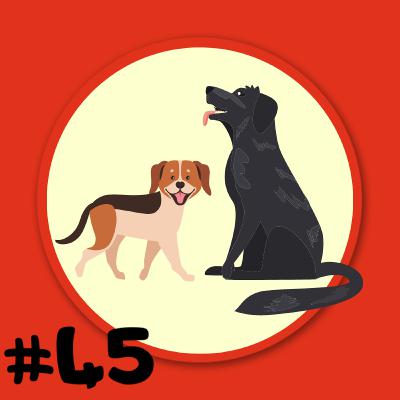 Folge 45 - Bernd Schäferhund und Trixie Dackel - Noch immer im Zoo