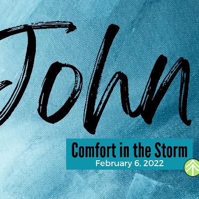 Comfort in the Storm Comfort in the Storm