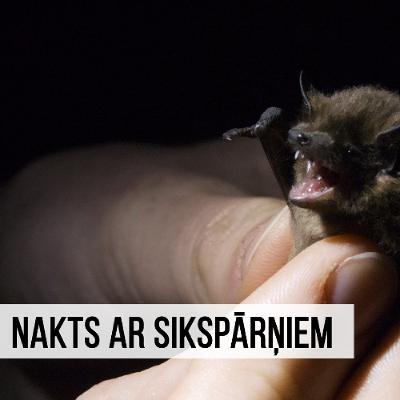 "Aculiecinieks" - Nakts ar sikspārņiem