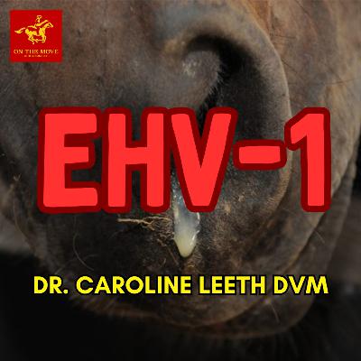 Bonus Episode: EHV Outbreak with Caroline Leeth DVM Bonus Episode: EHV Outbreak with Caroline Leeth DVM