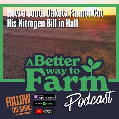 348: How a South Dakota Farmer Cut His Nitrogen Bill in Half