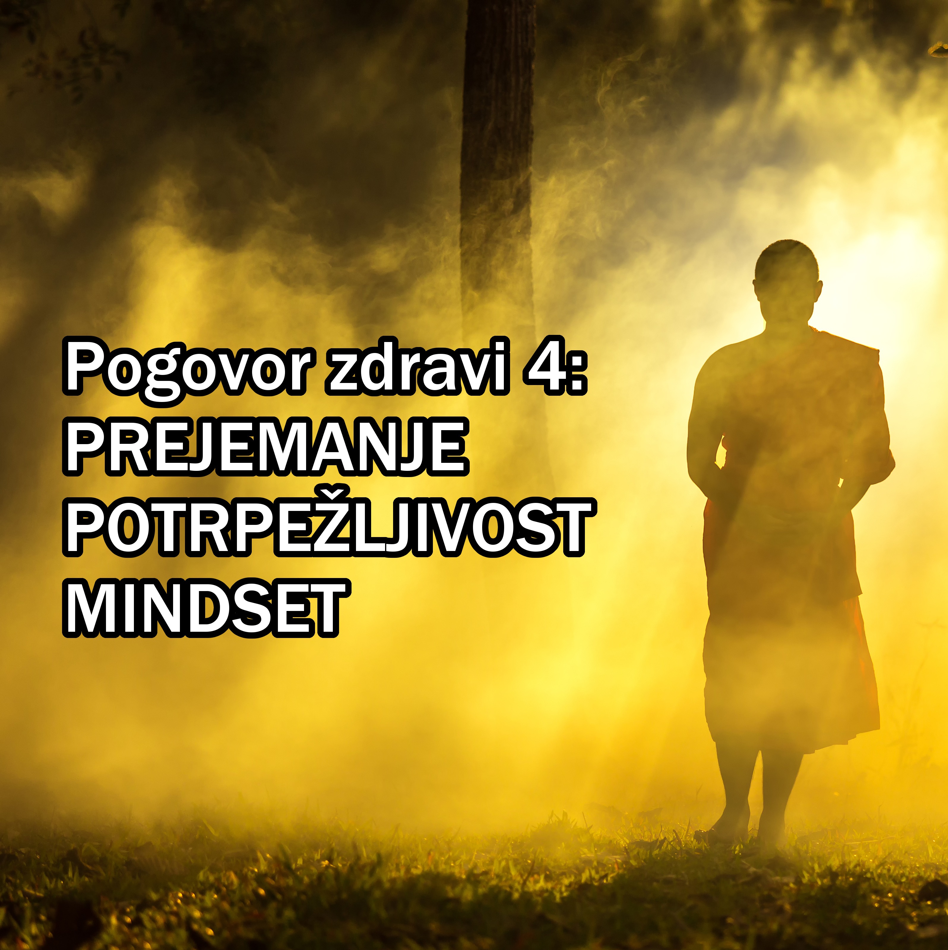 PZ #4: Prejemanje, potrpežljivost, mindset episode artwork