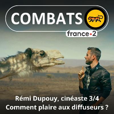 S07E17 Itinéraire d'un cinéaste sauvage 3/4 : Ce qui intéresse (ou pas) les diffuseurs (Rémi Dupouy, Voir l'automne) S07E17 Itinéraire d'un cinéaste sauvage 3/4 : Ce qui intéresse (ou pas) les diffuseurs (Rémi Dupouy, Voir l'automne)