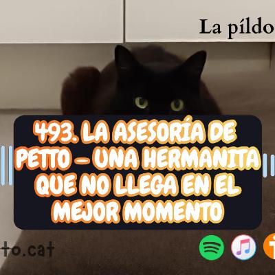 493. La Asesoría de Petto – Una hermanita que no llega en el mejor momento