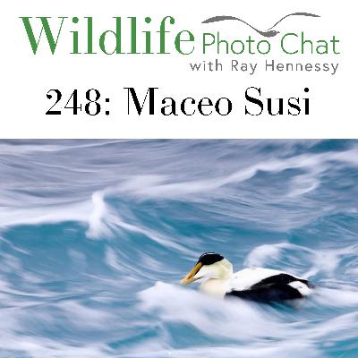 248: Maceo Susi