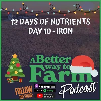 12 Days of Nutrients - Day 10: Iron