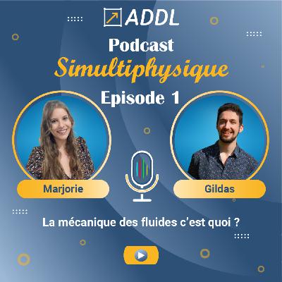 La mécanique des fluides c'est quoi ?