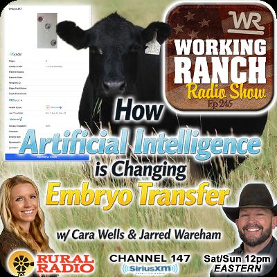 Ep 245: How Artificial Intelligence is Changing Embryo Transfer w/ Cara Wells & Jarred Wareham