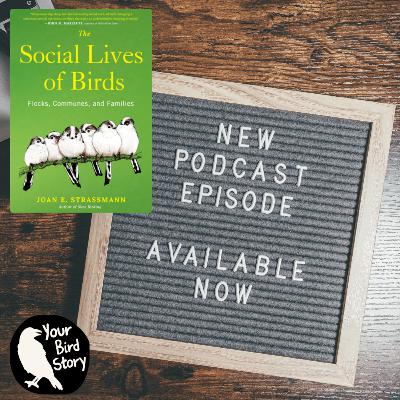 Joan Strassmann Synthesizes Bird Sociality