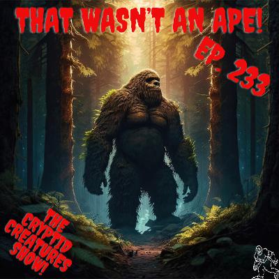 “This Wasn't an Ape!” EP. 233