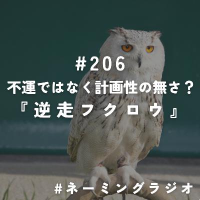 #206:不運ではなく計画性の無さ?『逆走フクロウ』@2025/06/30 #206:不運ではなく計画性の無さ?『逆走フクロウ』@2025/06/30