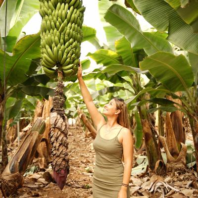 Episode 16 - Teneriffa, Paella, Bananen und Co