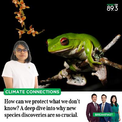 Climate Connections: How can we protect what we don't know? A deep dive into why new species discoveries are so crucial.