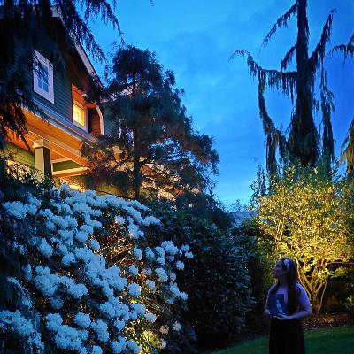 The Haunting of Hill House by Shirley Jackson