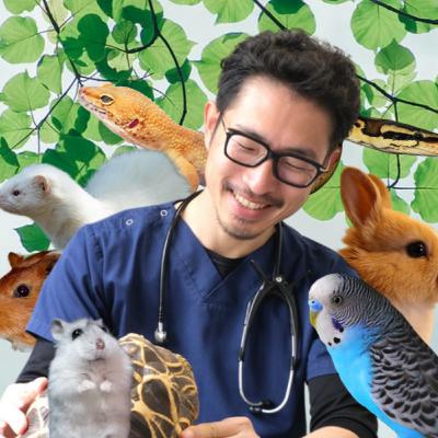 #15 飼い主とペットの食べる依存～解決編～