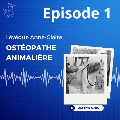 Episode 1 : Lévêque Anne-Claire Ostéopathe animalière