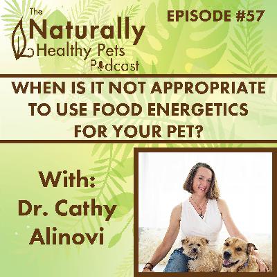 EP 57: When is it NOT Appropriate to Use Food Energetics for your Pet? with Dr. Cathy Alinovi