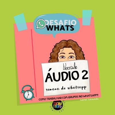 SÉRIE [Trabalhar com Grupos no Whatsapp] Áudio 2