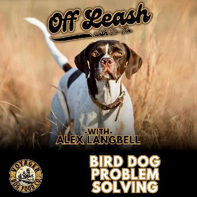 Alex Langbell; Bird Dog Problem Solving