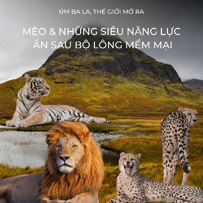 UBLTGMR - MÈO & NHỮNG SIÊU NĂNG LỰC ẨN SAU BỘ LÔNG MỀM MẠI