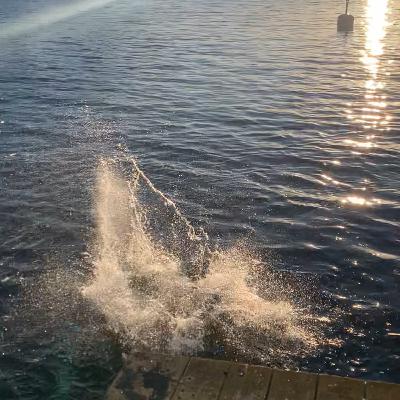 A last Stockholm dip for the season