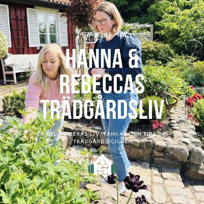 Avsnitt 134 – Snygga häckar