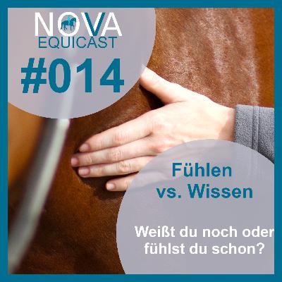 014 Fühlen vs. Wissen