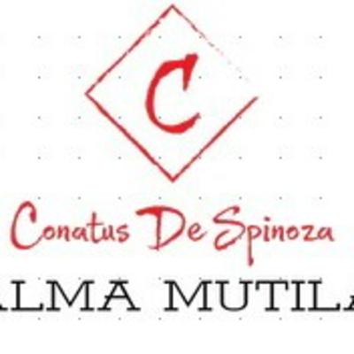 Equipo 1 Conatus y Spinoza