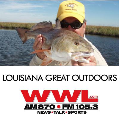 Bayou Wild's first episode of Tigers in the Wild is out, have you seen it? Bayou Wild's first episode of Tigers in the Wild is out, have you seen it?