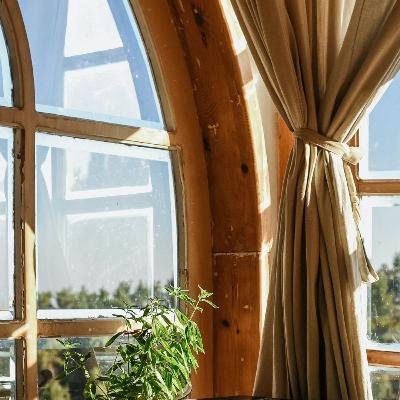 Episode 40 - Biophilia Revisited: Why timber workplaces feel different