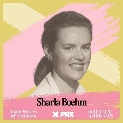 Sharla Boehm: The Programmer Whose Code Underpins the Internet
