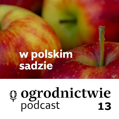 #013 w polskim sadzie - o ogrodnictwie #013 w polskim sadzie - o ogrodnictwie