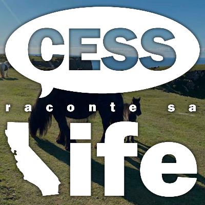 Ex Expat', ils sont rentrés vivre en France #3